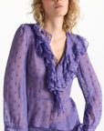 Sheer Spark Blouse