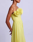 Pleated Strapless Maxi Dress