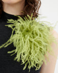 brooch