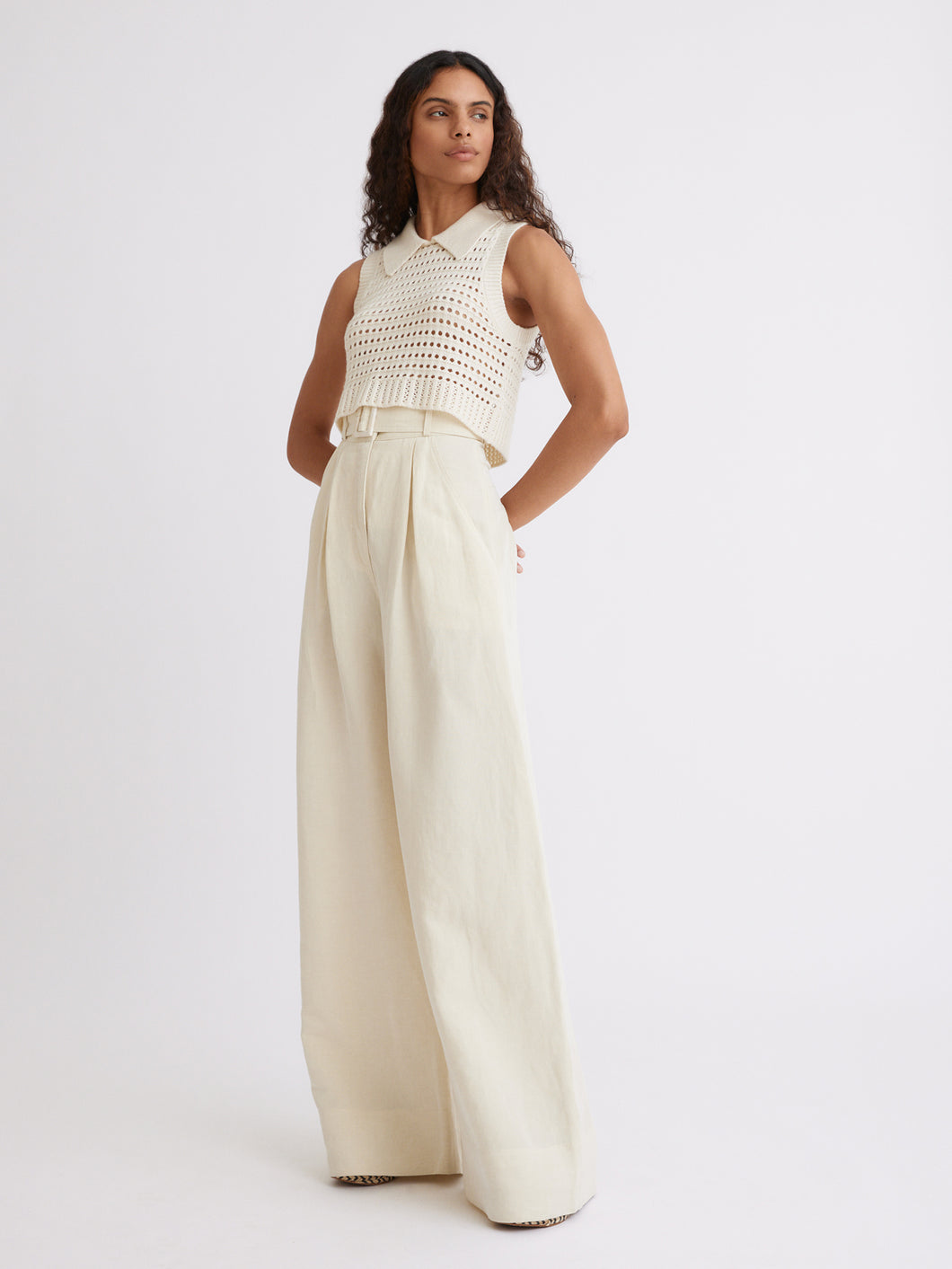 Wide Leg Pleated Pant