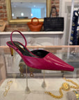 Aminta Eel Pump