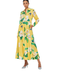Zara Midi