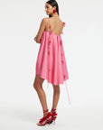 Fiona Rose Mini Dress - Pink