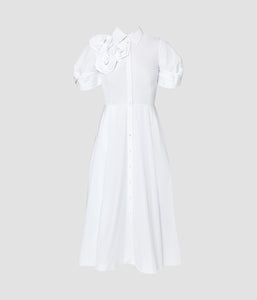 Shortslv Midi Shirt Dress