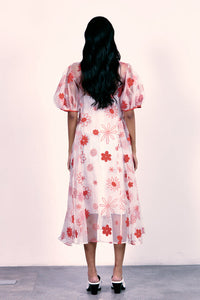 Embroidered Organza Dress