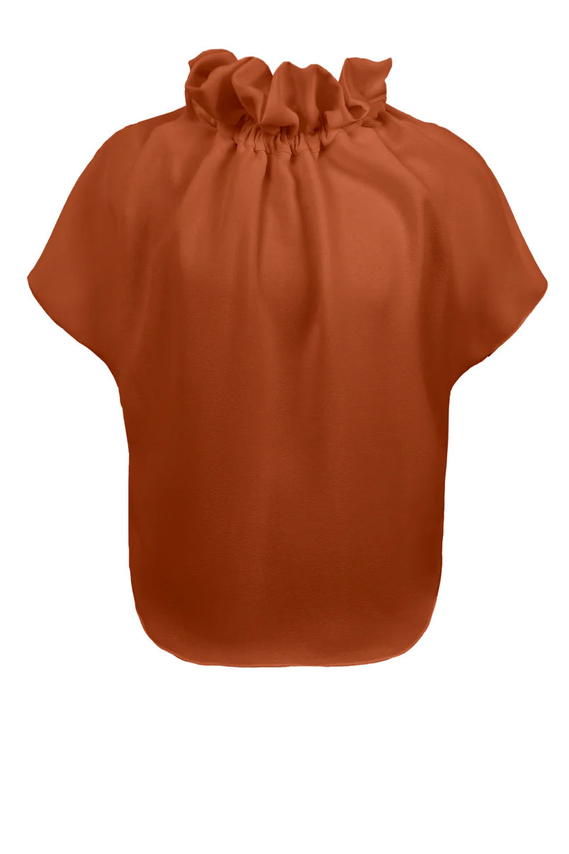 Ruff Blouse