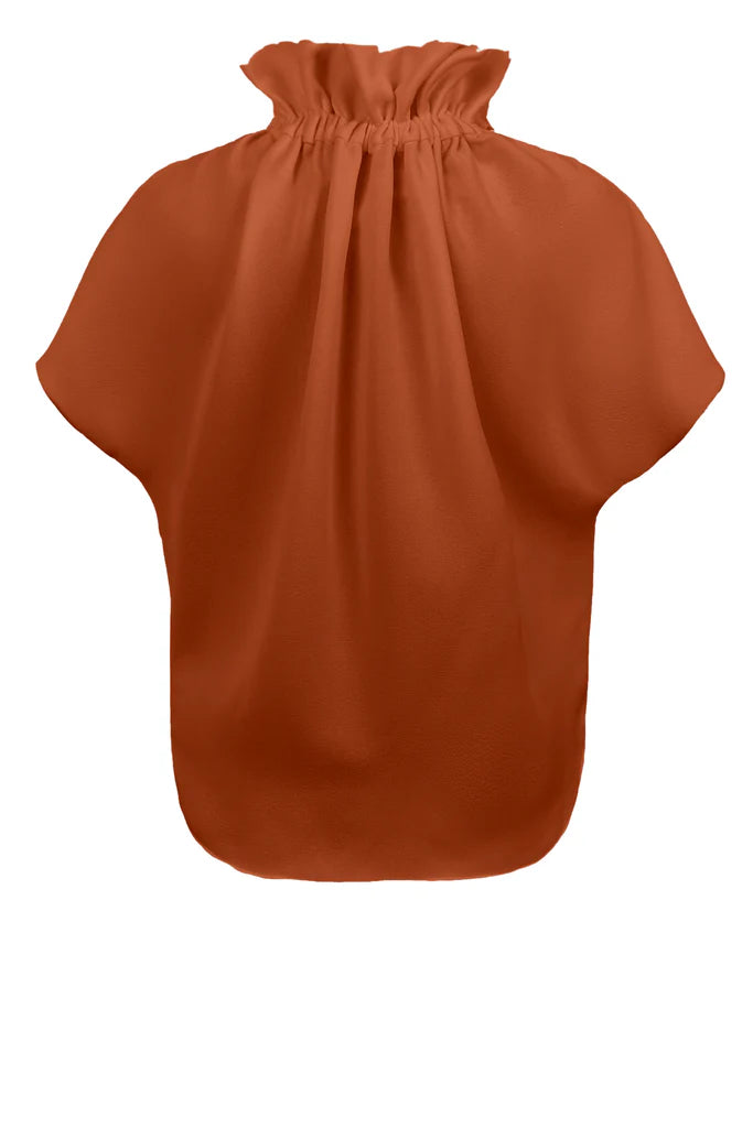 Ruff Blouse