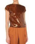 Short Sleeve Sequin Blouse