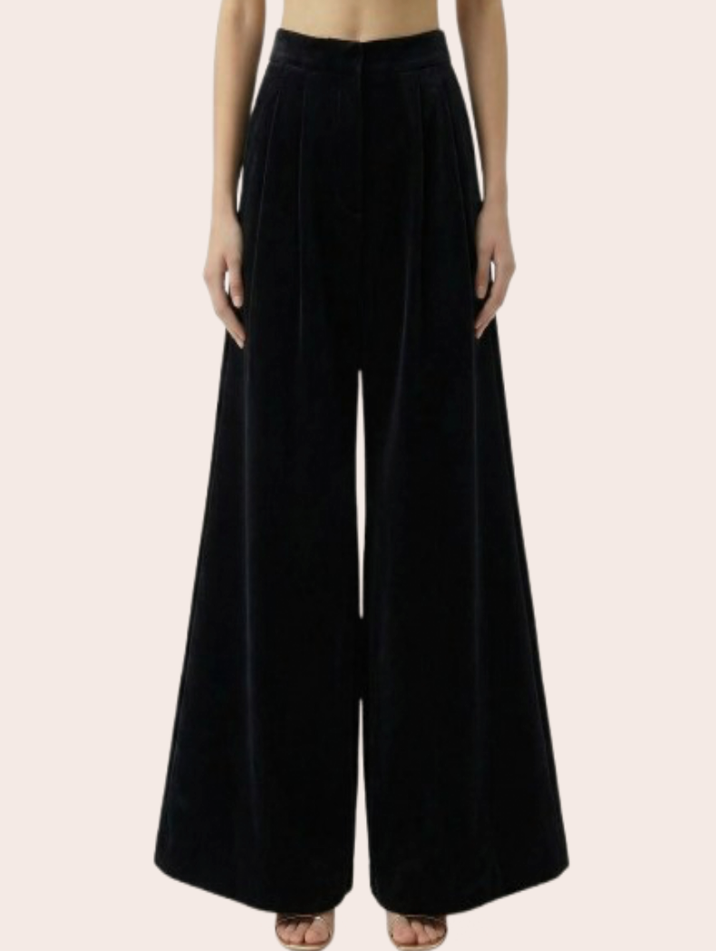 Twiggy Velvet Pants