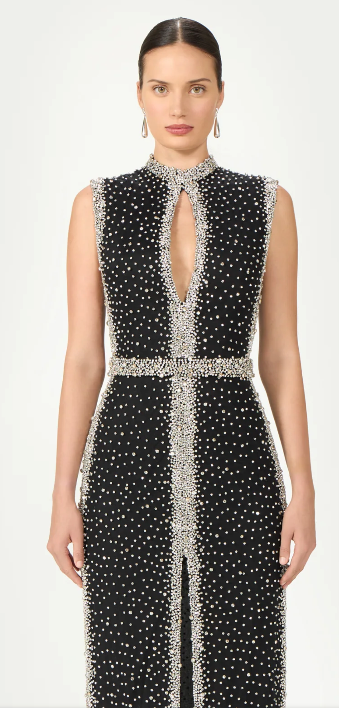 Belina Embroidered Crystals Column Gown