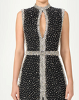 Belina Embroidered Crystals Column Gown