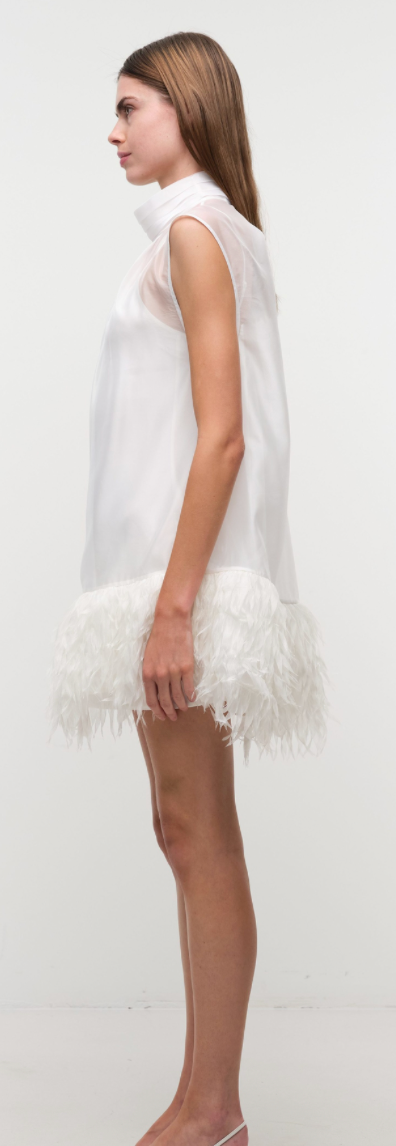 SHIRYA SL MINI DRESS