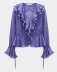 Sheer Spark Blouse