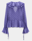 Sheer Spark Blouse