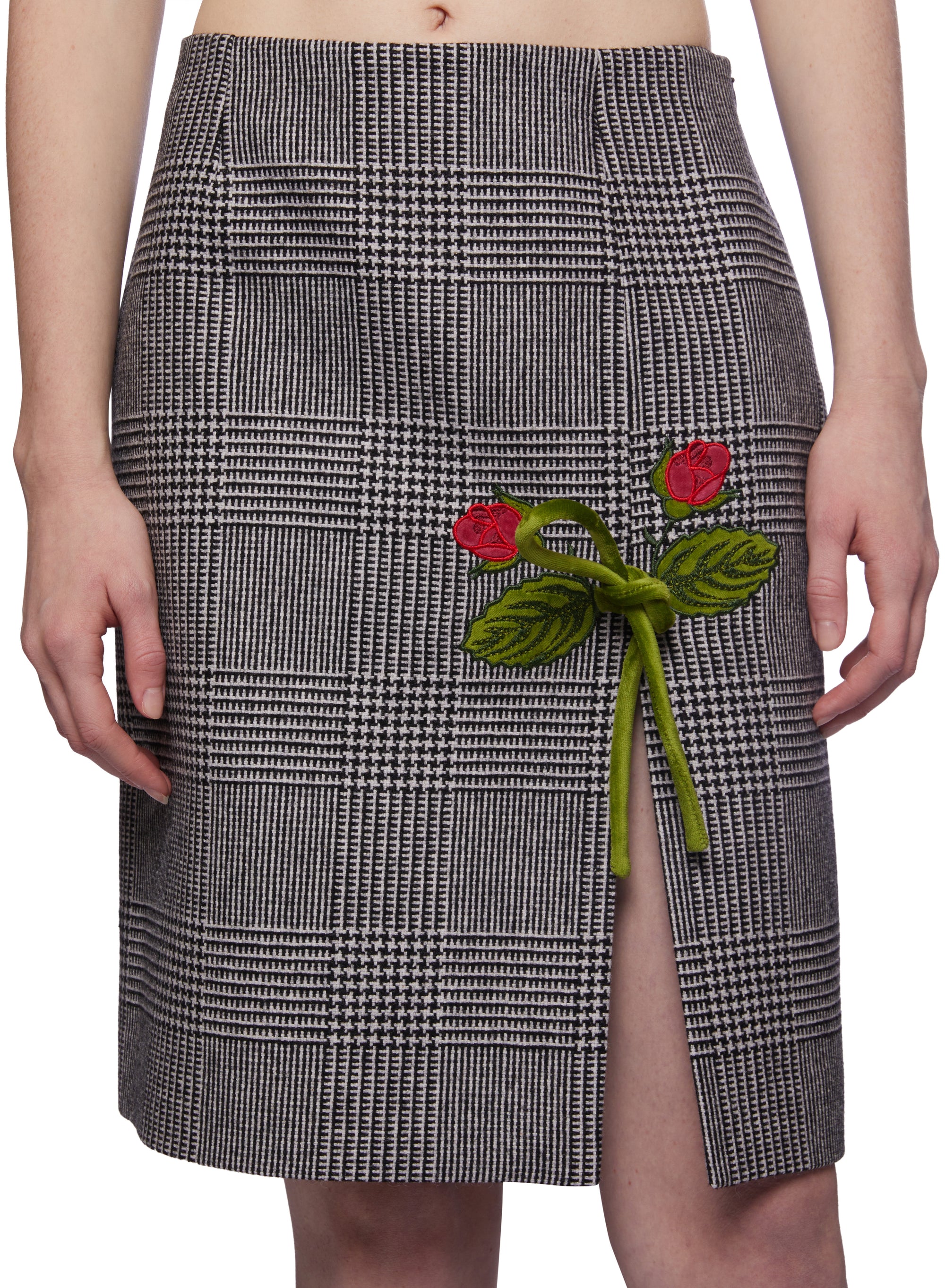 Mini Skirt With Embroidery