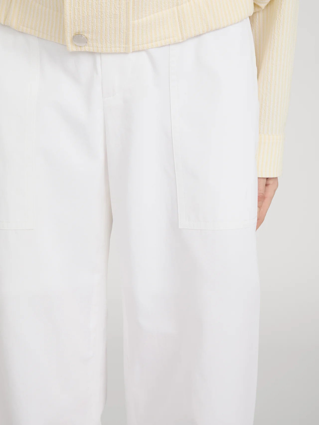 The Editor Pant