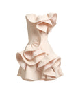 Atone Mini Ruffle Dress